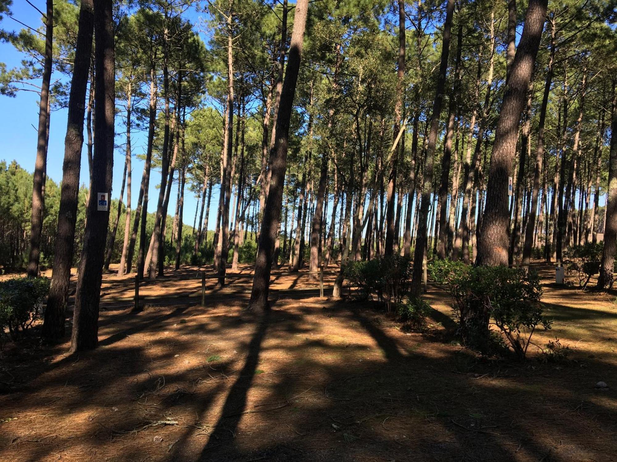 Вілла La Bergerie Des Landes Лі-е-Мікс Екстер'єр фото